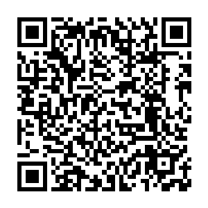 从天元界乃至周边大千世界赶来的强者和游客纷纷聚集在这里翘首以盼二维码生成