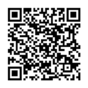 从头开始一直到中间的一排办公室全是这家公司的二维码生成