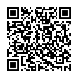 从她当上我们主人的时候就没有用强硬手段对过我们二维码生成