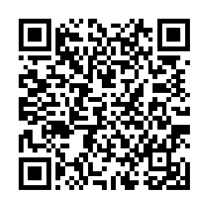 从她睁眼的第一时间称呼杨开一声师兄就可以看的出来二维码生成