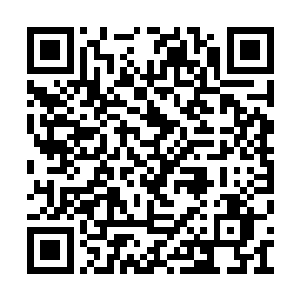 从如今这元峰之上的山神之灵展现出的气息来看二维码生成