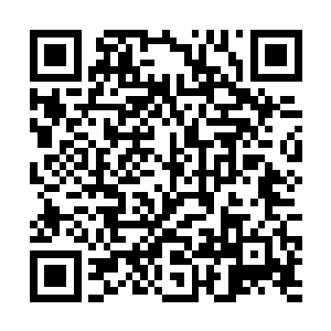 从定丰城中带出来的武者很多人都是到了晋升的关口二维码生成