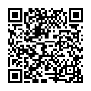 从对方的装扮也长相杨戬自然也一下子就猜了出来二维码生成