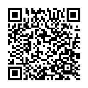 从小到大从来没有受过任何苦难的韩旭早就支撑不住了二维码生成