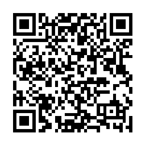 从小在温室中长大的你自然不懂得什么叫做弱肉强食二维码生成