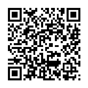 从小学的记忆到最近的记忆都在她脑海里面闪现着二维码生成