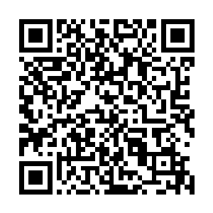 从小就在贫困中长大的弟弟景明仰视着眼前的平江饭店大楼二维码生成