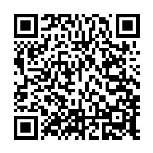 从小就没有什么姐妹兄弟的沐扬心中不由得有些淡淡的遗憾二维码生成