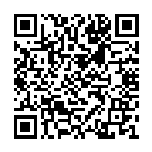 从小时候开始他们就告诉我一些做人的道理……二维码生成