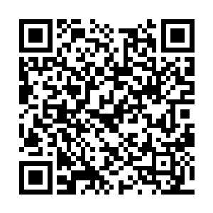 从小跟随在爷爷身边的他怎会被奥克斯的威势吓倒二维码生成