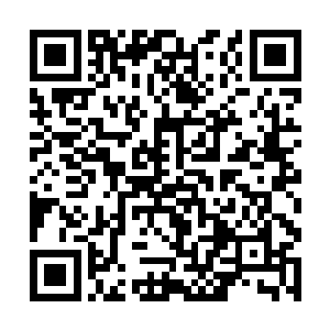 从小都没有怎么受过委屈的小姑娘卓玛顿时就伤心了二维码生成