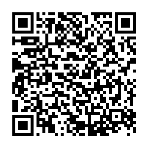 从巨大的炼丹炉中飞出来的那颗巨大的丹药上突然出现了一道裂缝二维码生成