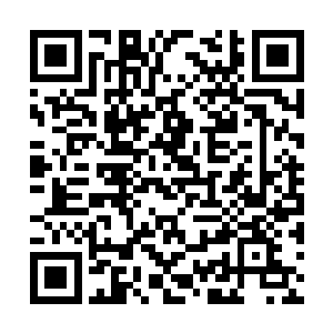 从巴克他们最后出门看见陆陆续续又来了不少车辆二维码生成