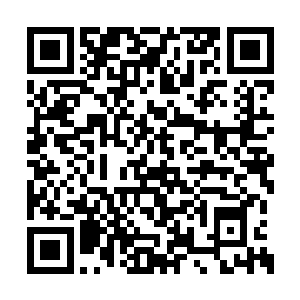 从广州白云山机场直接上去了去东莞的高速公路二维码生成