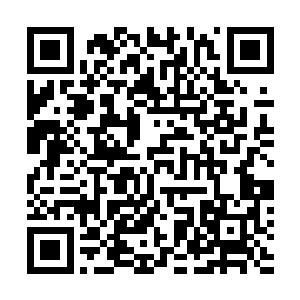 从开始到现在她陈长生的态度真的就像是学生对先生一般二维码生成