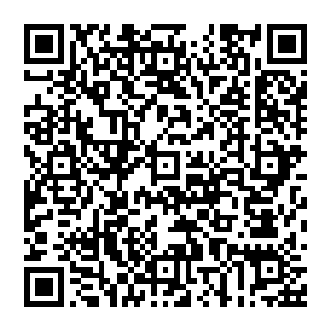 从开始排查现场人员就打开警车车门坐在副驾驶位置面朝车外低头把玩手机的小加藤君这个时候恰好抬头二维码生成