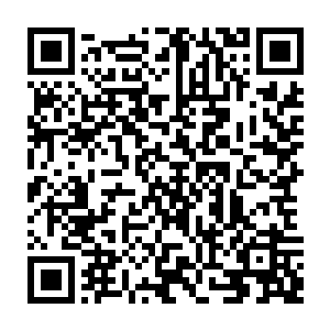 从张铁暴起一直到短短两分钟的时间就把布尔维克打得在地上像老鼠一样的乱滚二维码生成