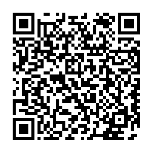 从当初被天寒城甄家的杂碎在海岛龙窟下面追杀遇到赵元拜师到现在二维码生成