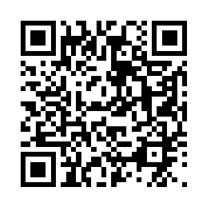从彼此的眼神里都看到了相似的光芒二维码生成