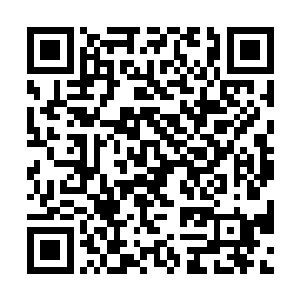 从德玛西亚杯预选赛到现在lh战队竟然一场都没有输过二维码生成