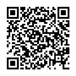 从我们世界出去的一只蚂蚁得到了这方面相关的传承二维码生成