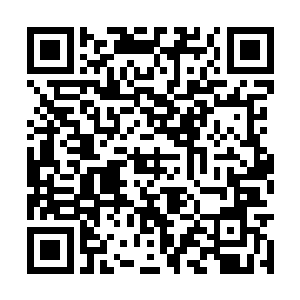 从我年前向你通报过贺飞从蓝莓基地拿走十万之后二维码生成