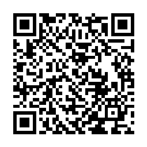 从我当初跟随母亲到你们陆家看到你的第一眼的时候二维码生成