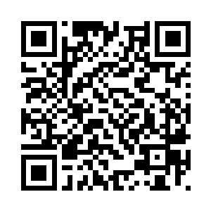 从接到保护许乐乐命令的那一刻起二维码生成