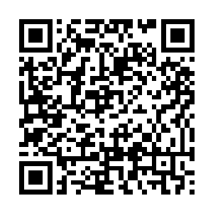 从摸索着从枕头底下拿出一封几日前就写下的信来二维码生成