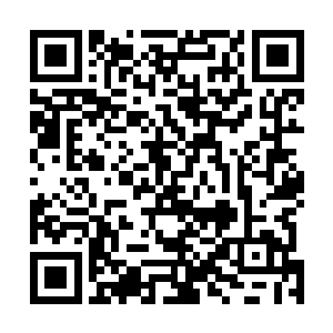 从敌人进入战场的第一秒就可以隔着屏障开始削对面的血二维码生成