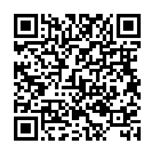 从斯蒂纷的口中贝海也不知道这人到底是死了还是没死二维码生成