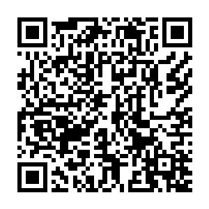 从昏迷中苏醒才三天的南宫二少看着窗台上的那盆紫色蔷薇花发呆二维码生成