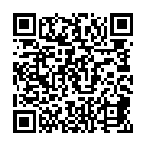 从昨天回来之后脑海里经常会出现那萧立的笑脸二维码生成