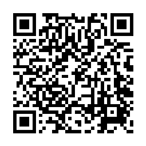 从晚上阮荷黎回到家一直到第二天早晨睡醒之前二维码生成