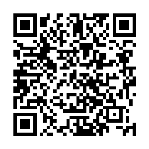 从曼莎夫人到来要杀苏落到她自断手臂离开……这个过程二维码生成