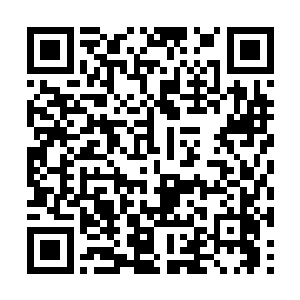 从未在人前与程珈澜这么亲密的她瞬间红透了小脸二维码生成