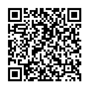 从未开发而处于半原始状态的西峰山终于向昌州人撩开了面纱二维码生成