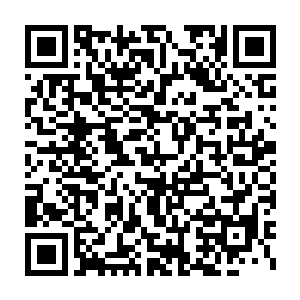 从来不看我小说的媳妇今天突然对我说小说排在潜力大作榜中第三二维码生成