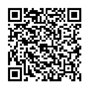从来就没有见过勾心斗角相互倾轧的家族能壮大绵长的二维码生成