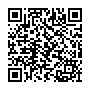 从来没一次在他身上发现过如此恐怖的死亡气息二维码生成