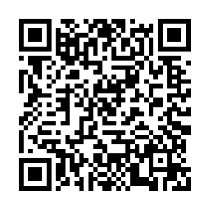 从来没想过在这天地之间还有另外一个星域存在二维码生成