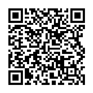 从来没有任何一个势力可以同时获得两本八级功法二维码生成