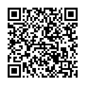 从来没有哪一个飞升修士敢用这样的语气与他说话二维码生成