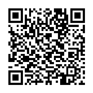 从来没有玩得这么开心的王雅君已经有些忘乎所以了二维码生成