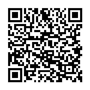 从来没有经历过眼前这种残酷的躲猫猫死亡游戏二维码生成