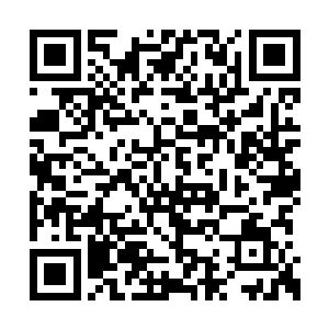 从来说起凤家那边的人时都将界限划得十分清楚二维码生成