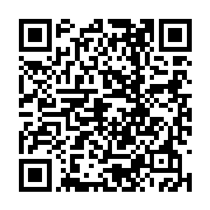 从来都是狂龙在战斗中利用别人内心的弱点去扰乱二维码生成