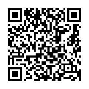 从来都没有任何一个人在新人的时候就获得了那么多北州大奖二维码生成
