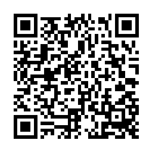 从林封谨身上陡然爆发出来了一股极其恐怖的感觉二维码生成