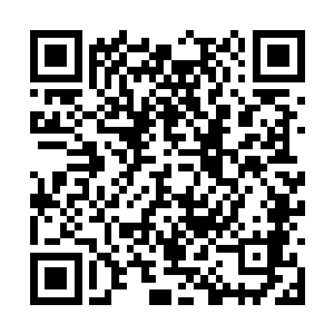 从树林中冲出来的浙军像一头打了鸡血的野猪一样二维码生成